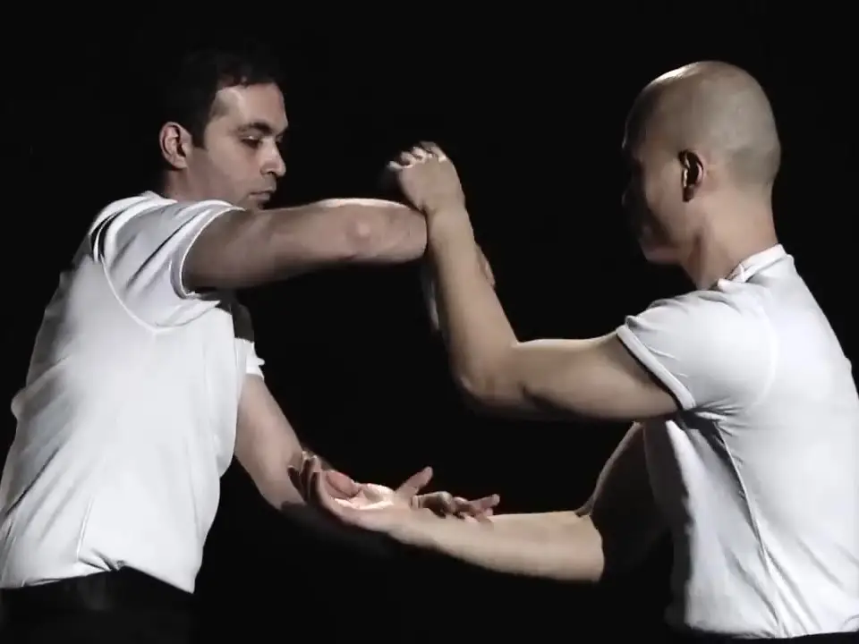 Sifu Deniz Kara en een partner met gekruiste armen (Chi Sau)